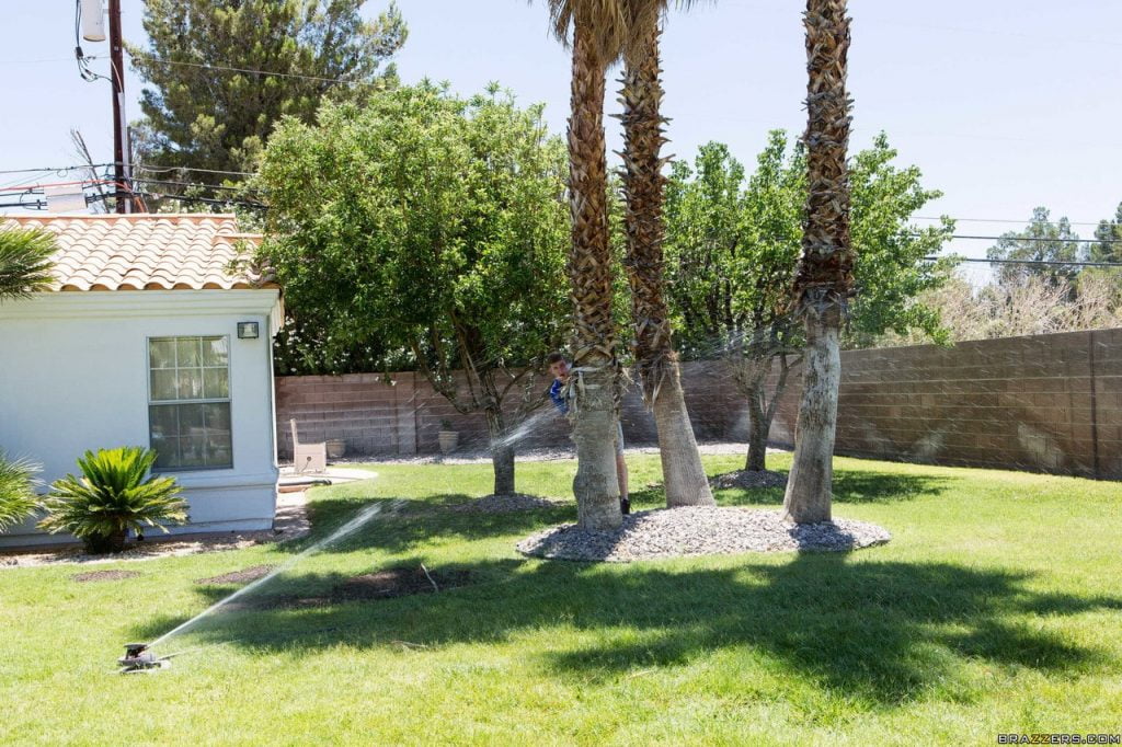 97763566 085 0d07 97763566 085 0d07